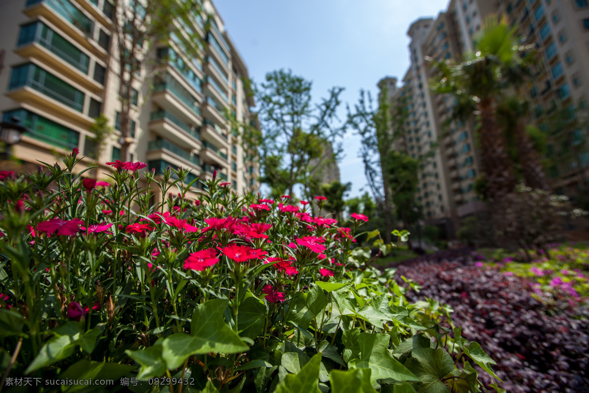 房地产 高楼 花丛 花坛 建筑 建筑摄影 建筑园林 蓝天 地产 摄影图片 地产摄影 楼盘 园林 绿叶 阳光 鲜花 矢量图 建筑家居
