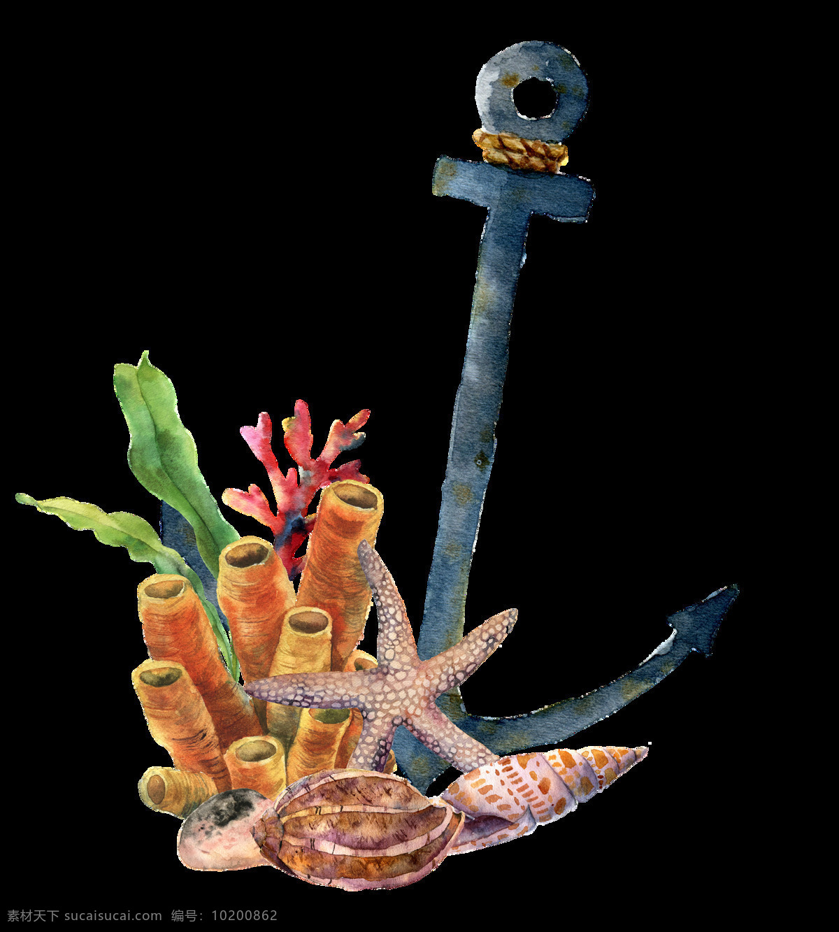 海洋 主题 插画 图案 海螺贝类 海洋生物 热带鱼群 水彩插画 海底世界 海洋生物插画 鱼群插画 装饰图案 水草植物插画 珊瑚
