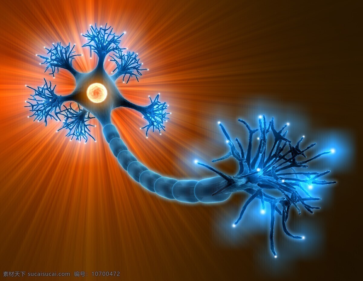 分子 高科技 基因 科学研究 科研 人体 细胞 分子结构图 高分子 神经元 蓝色细胞 神经系统 医生 医疗 现代科技 医疗护理 矢量图