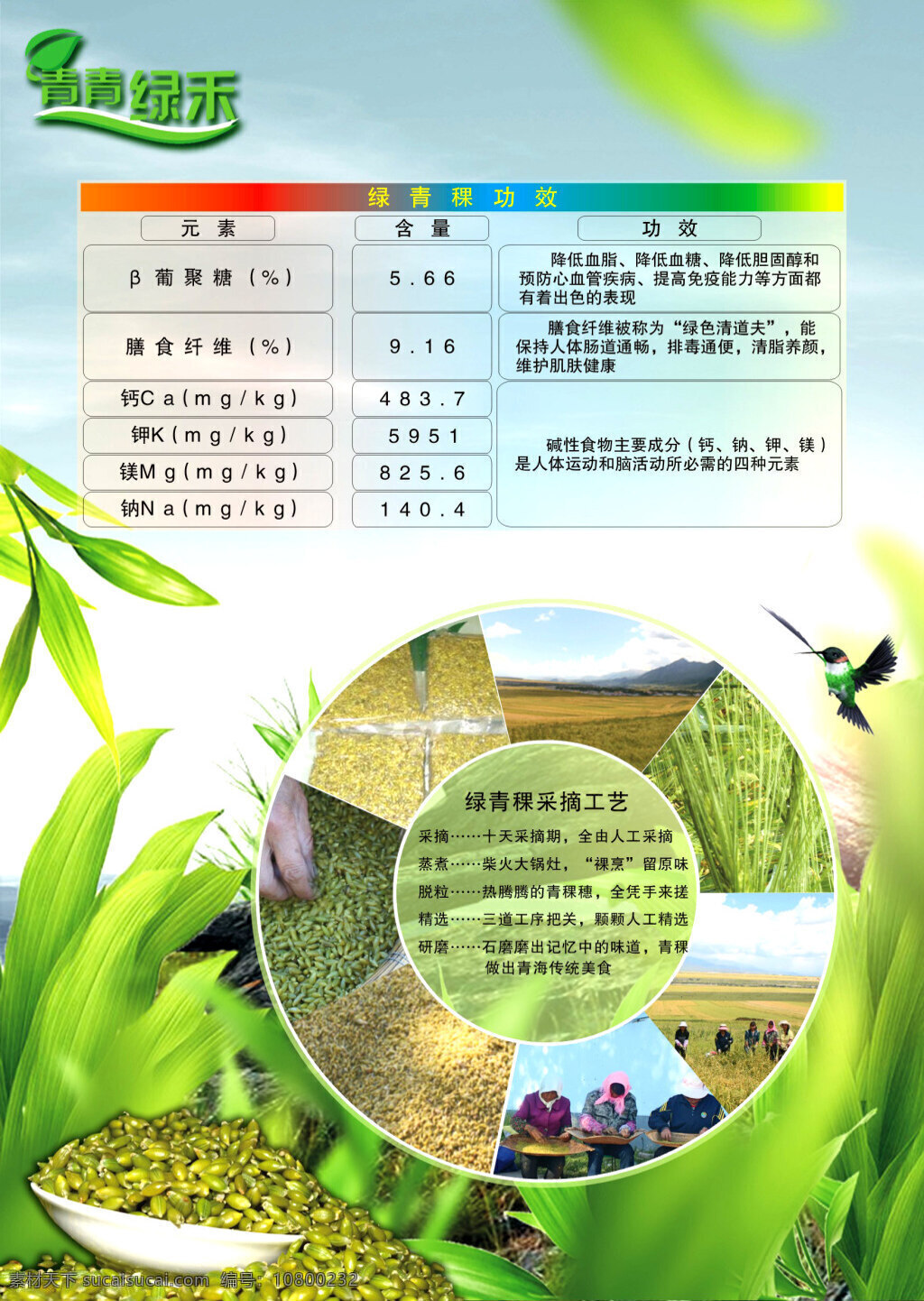绿色 青稞 食品 茶饮 海报 dm 单 背景图片 企业 文化 系列 产品 高强 模板设计 版面背景设计 logo 表格 白色