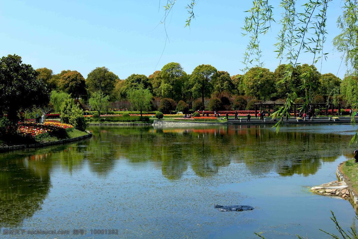公园 湖水 花圃 水中倒影 垂柳 绿树 建筑园林 园林建筑
