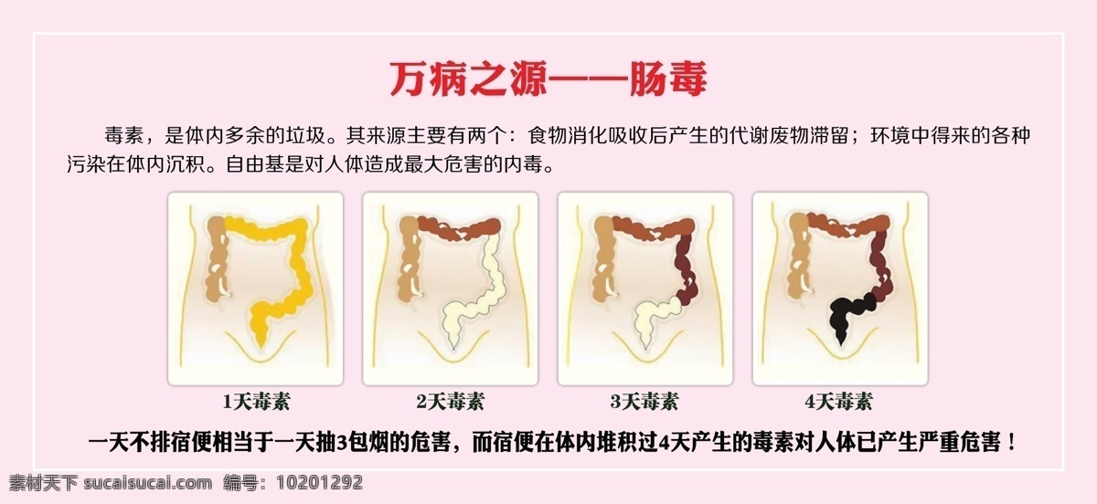 万病之源 肠毒 万病 之源 肠道 毒 便秘