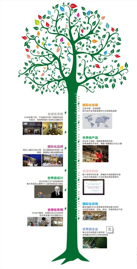 企业 发展 成长 树 成长树 成长树海报 成长树模板 量身高贴 发展历史 发展过程图 生活家地板 地板发展过程 发展历史过程 企业发展过程 展板