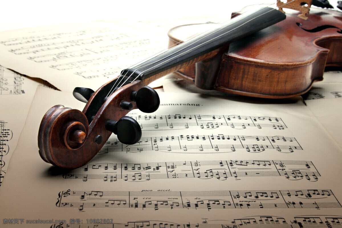 放在 乐谱 上 小提琴 音乐器材 乐器 西洋乐器 影音娱乐 生活百科