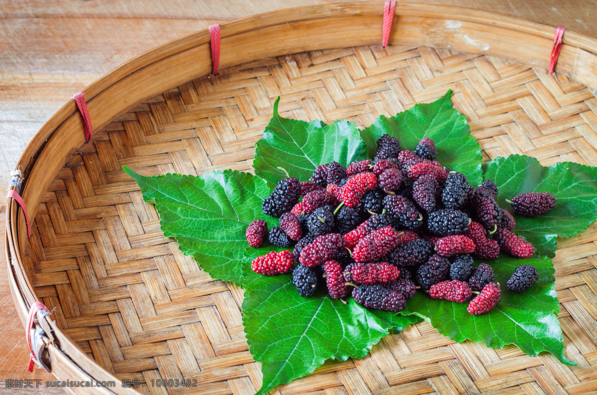 桑葚 桑果 水果 树莓 覆盆子 生物世界