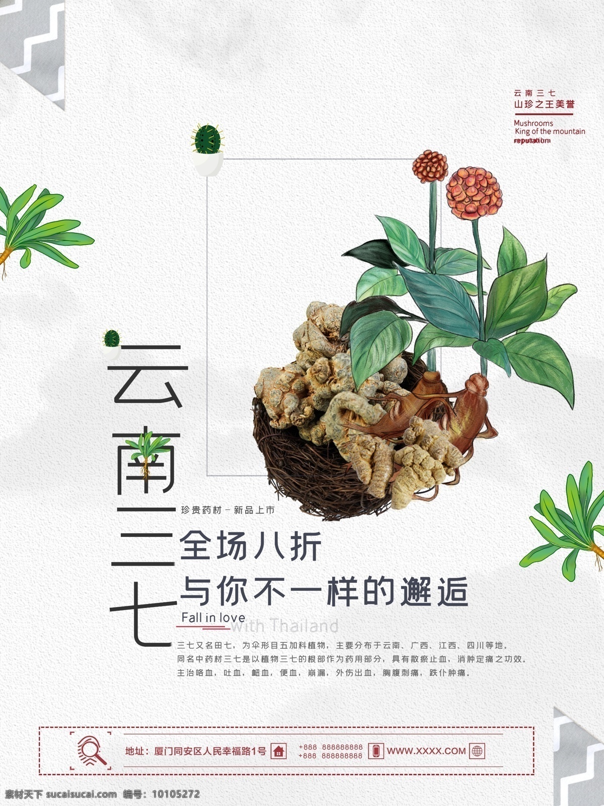 三七素材图片下载-素材编号10105272-素材天下图库