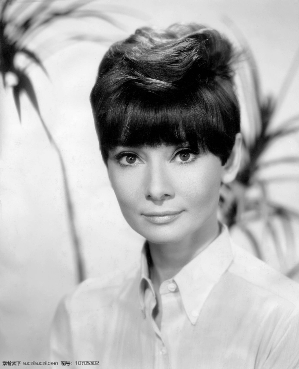 audrey hepburn 英国 电影演员 美女 明星 经典 老照片 人物图库 明星偶像 奥黛丽 赫本 特辑