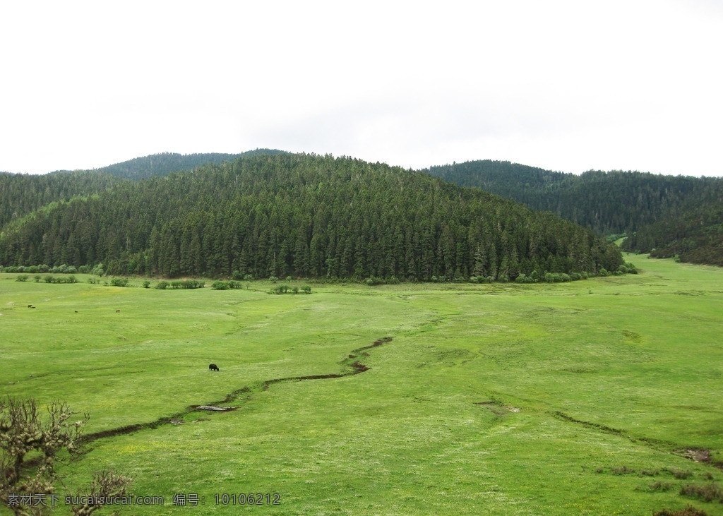普达措 普达措美景 绿草地 丛林 山脉 灌木 绿色 自然美景 风光 自然风景 自然景观 普 达 措 国家 公园 国内旅游 旅游摄影