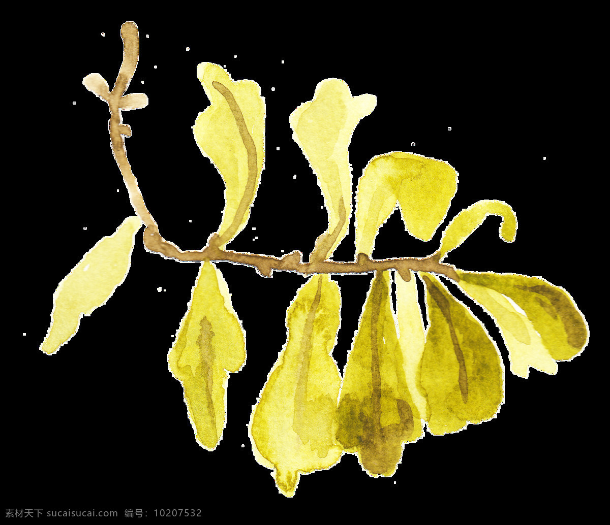 枯黄 树叶 透明 装饰 海报设计装饰 卡通 免扣 设计素材 水彩 淘宝素材 透明素材 装饰图案