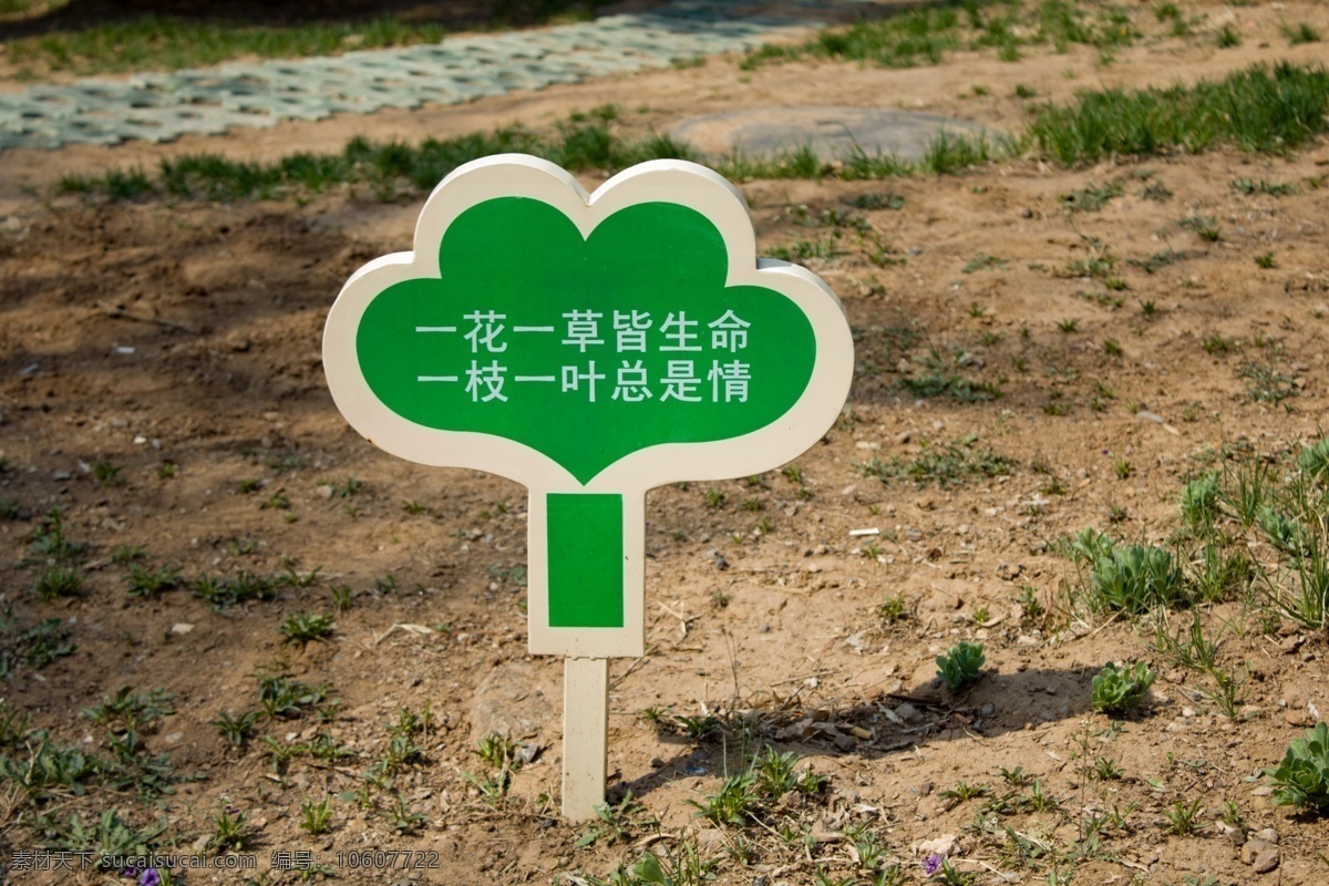爱护 花草 指示牌 爱护花草 园林 绿色 一草一本 皆生命 草地 春天 建筑园林