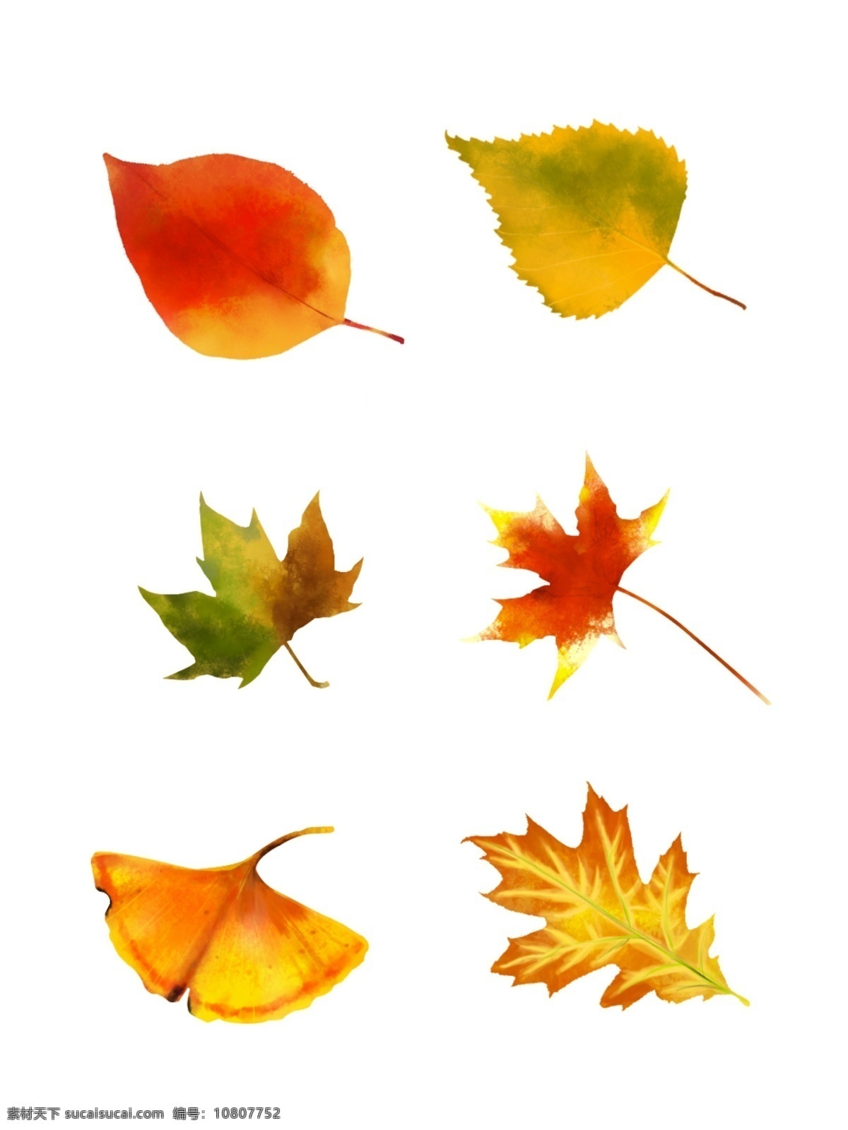 秋天 树叶 枝条 叶子手绘 黄色 落叶 装饰图案