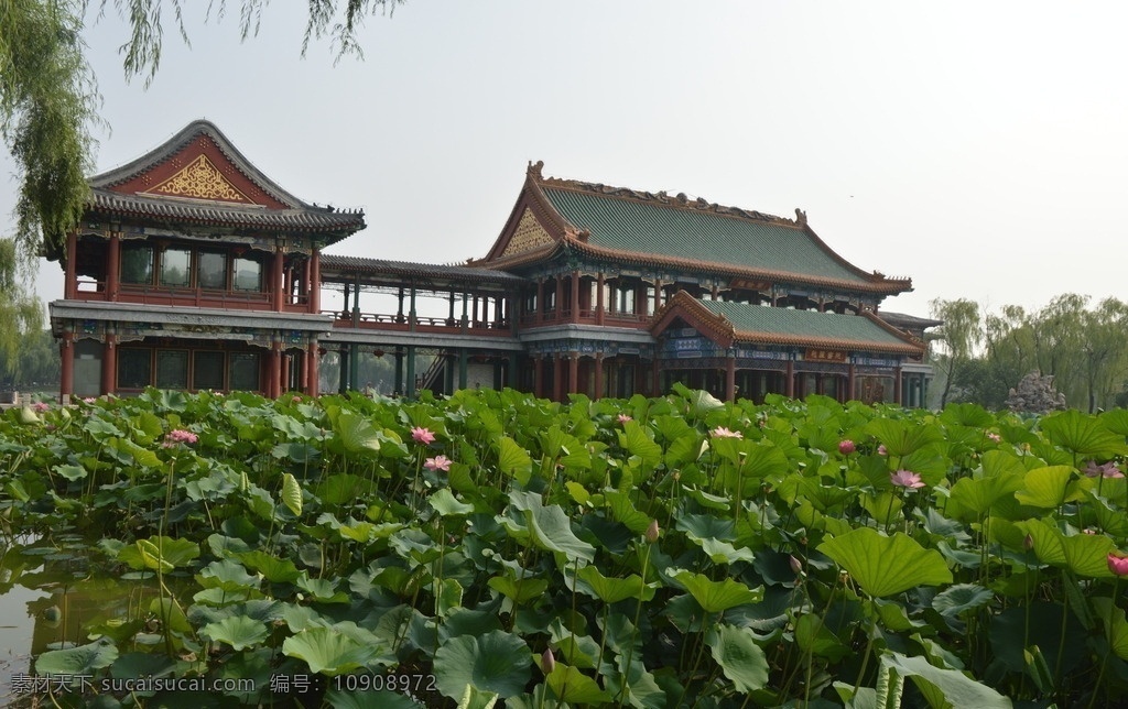 荷塘 荷花荷叶 凉亭 亭阁 仿古建筑 溪水 园林 植物 花草 湖水 绿叶 叶脉 绿化景观 园林景观 荷花荷叶荷塘 建筑园林 园林建筑