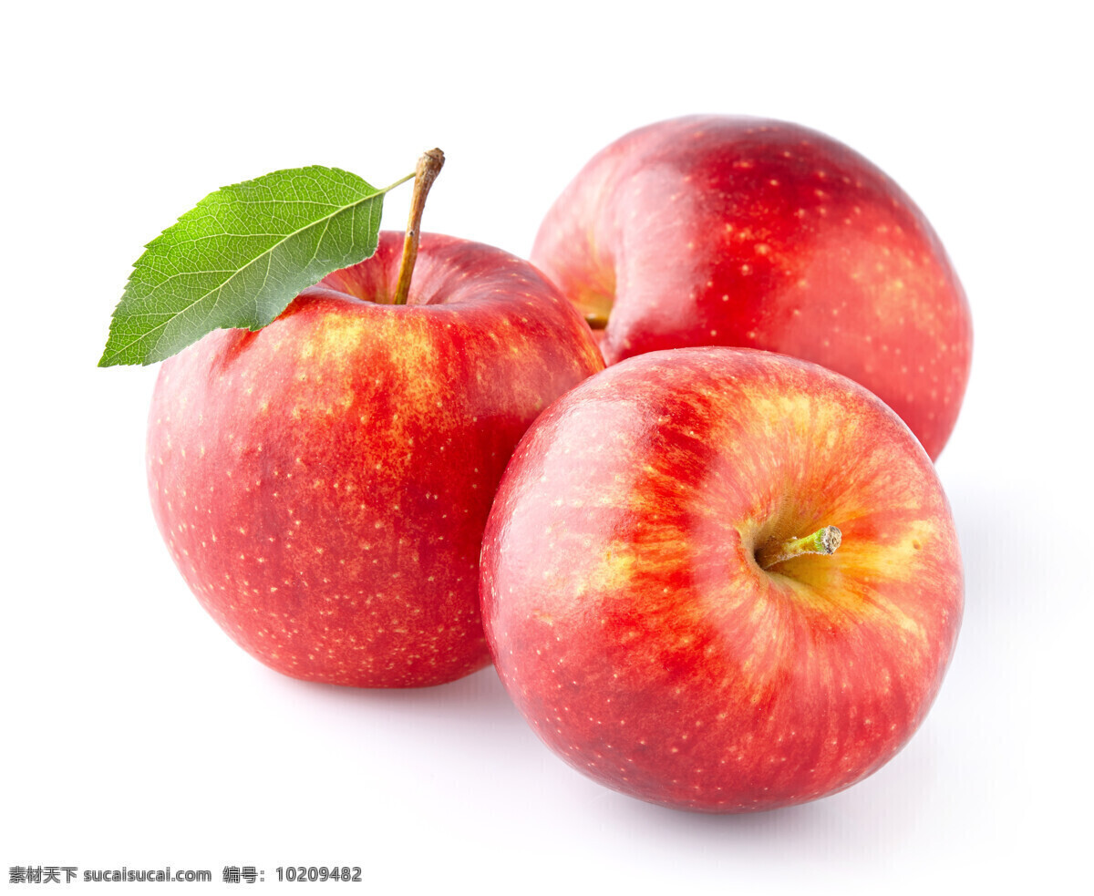 唯美 美味 水果 鲜果 新鲜 原生态水果 苹果 红苹果 美味苹果 新鲜苹果 生物世界