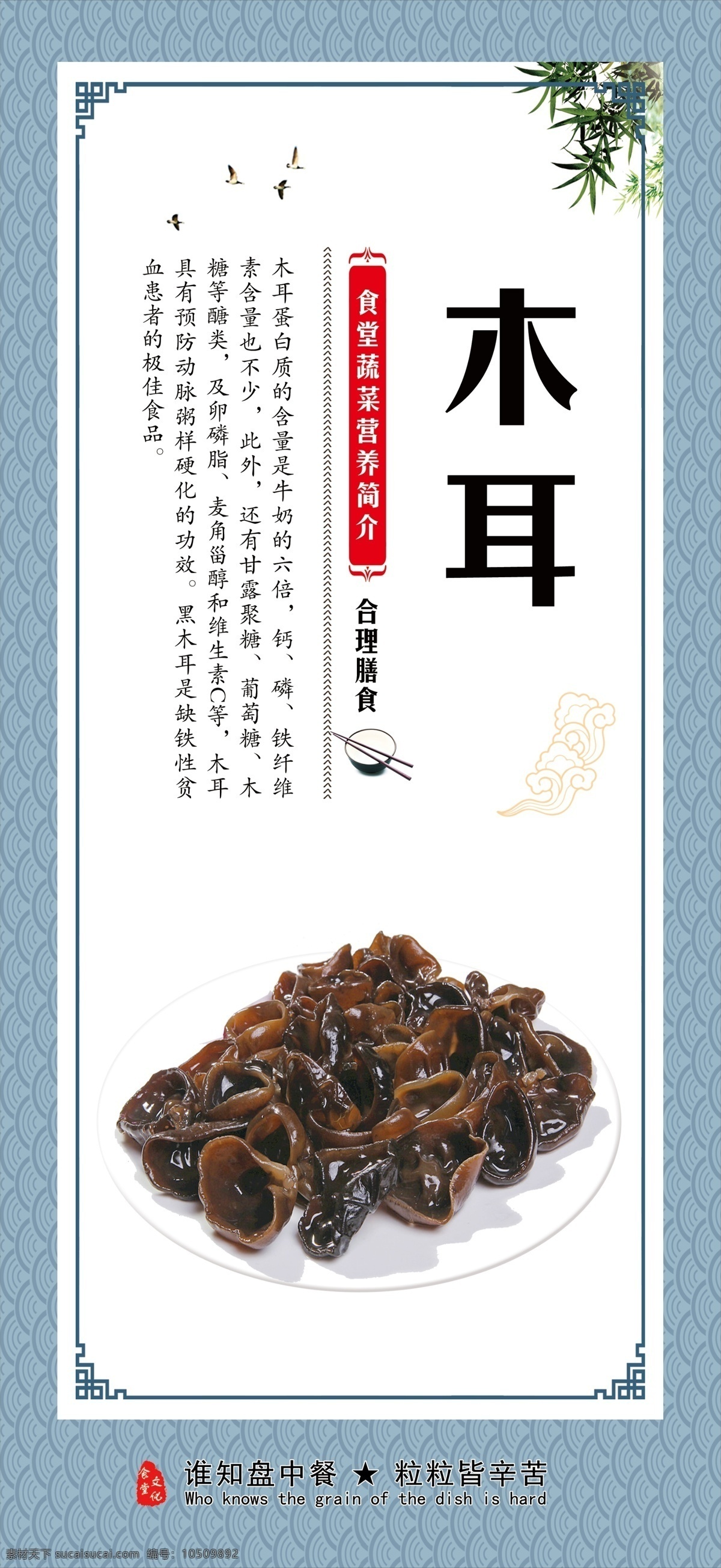 木耳 餐饮 食堂文化 菜品 饮食文化 蔬菜介绍 饮食