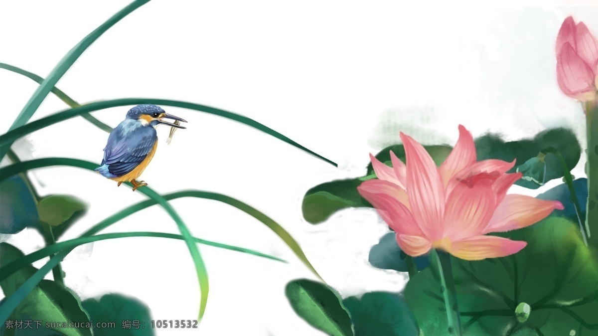 中国 风 花鸟 夏 荷 翠鸟 河鱼 边框 横 手绘荷花 手绘翠鸟 花鸟边框 手绘 夏荷 植物 花卉 水培植物 翠鸟抓河鱼 手绘边框横 ps 分层 源文件