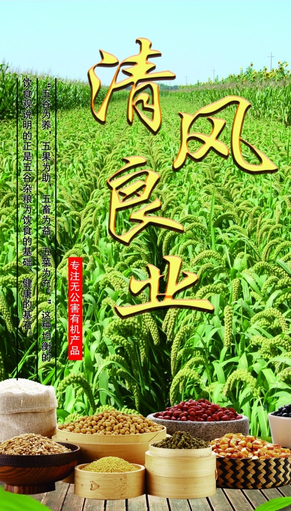 粗粮 五谷 小米 农田 清风 农村 玉米 粮食 绿色 田野 乡村