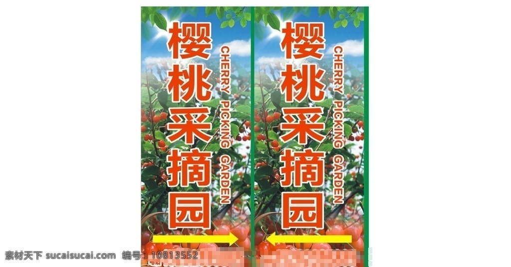 樱桃采摘园 樱桃 采摘园 果园 果树 英文 熟了 红了