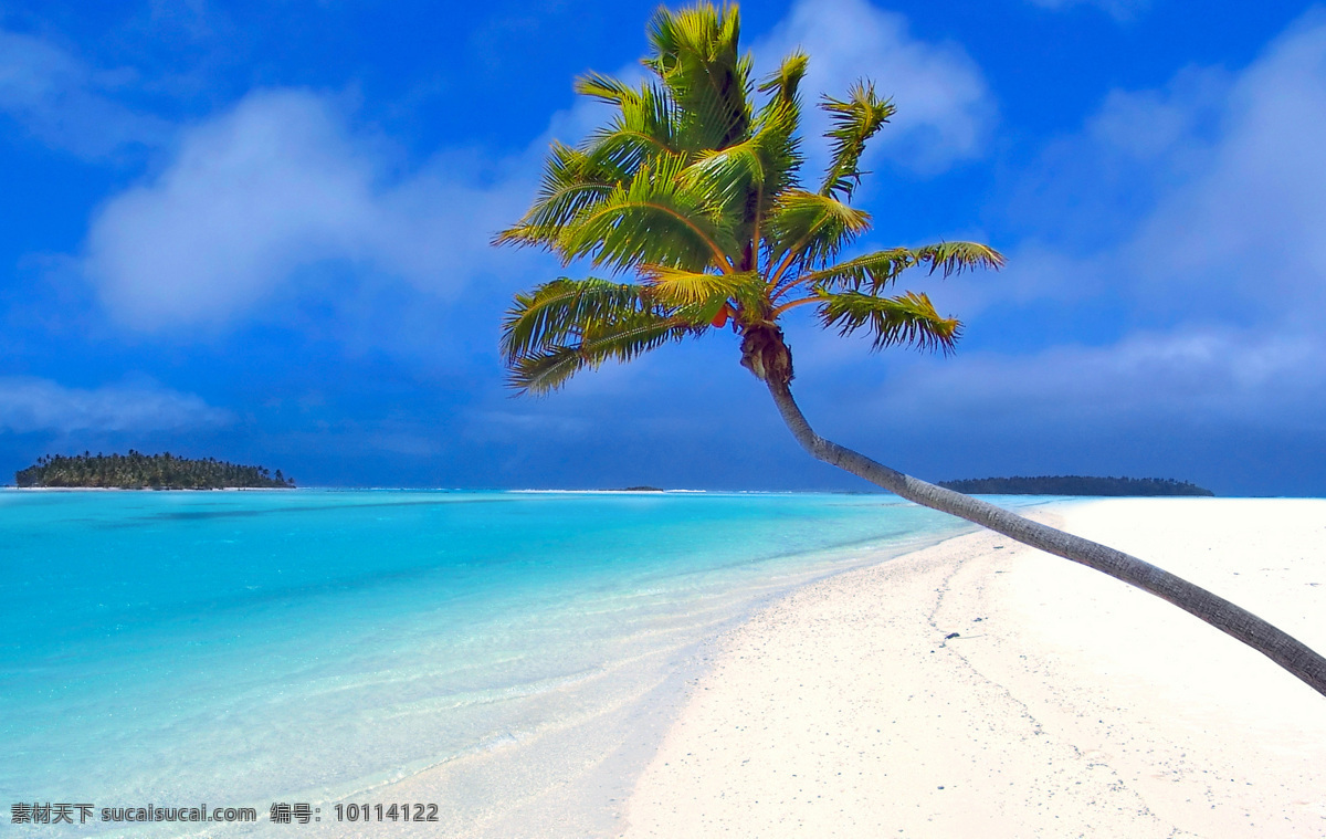 沙滩 热带 树 海上 风景 美境 大海 宽阔 碧海蓝天 唯美 湛蓝 热带树 大海图片 风景图片