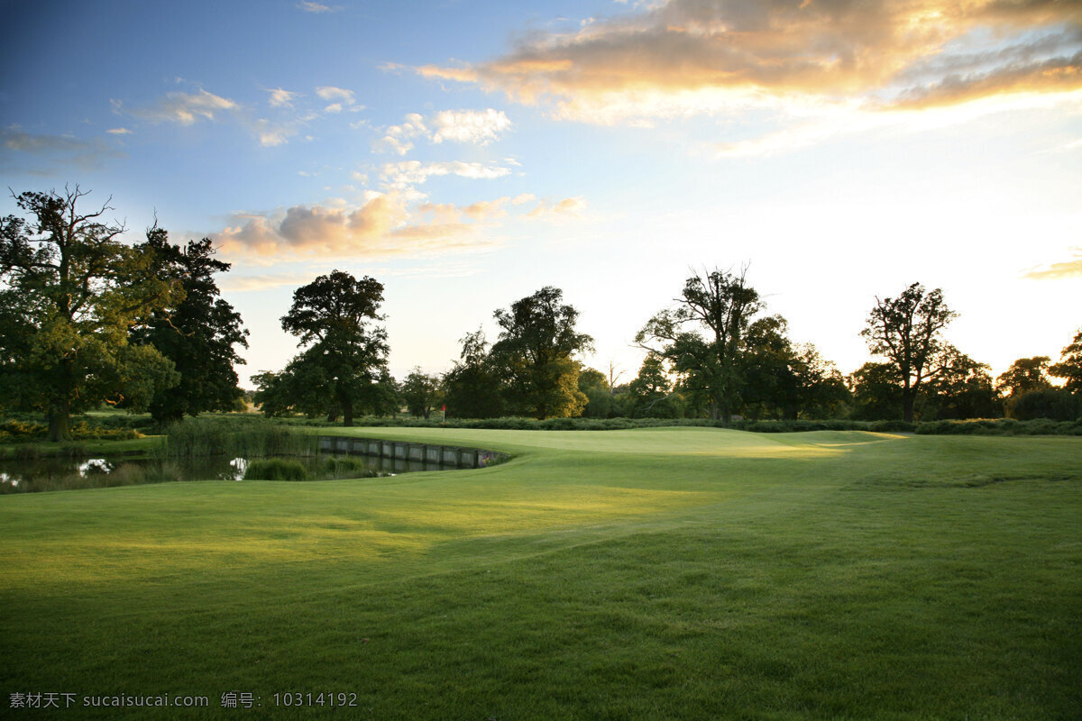 高尔夫球场 美景 草坪 树木 蓝天 白云 清新 空气 环境 保护 阳光 夕阳 绿色 草地 自然风景 自然景观