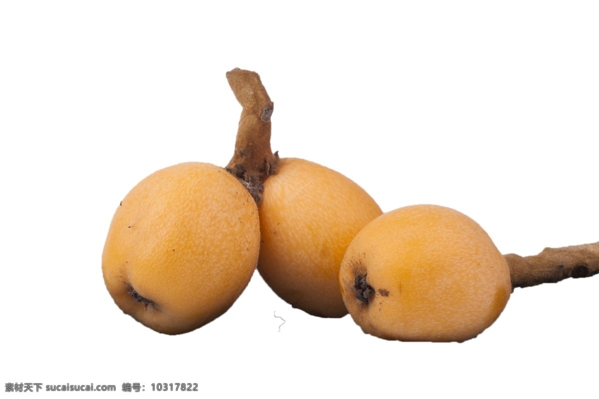 三个 枇杷 果 精品 鲜美 枇杷果 特技 鲜美可口 清甜多汁 植物 水果 甜美 新鲜 应季的