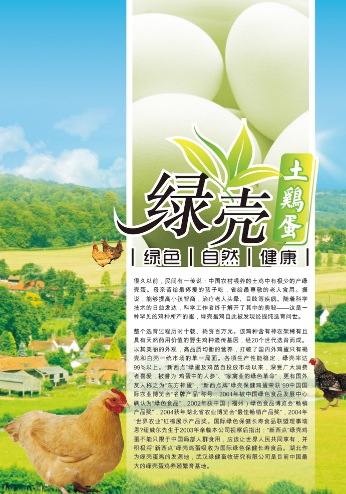 绿 壳 土 鸡蛋 土鸡蛋广告 土鸡 养殖场 绿地 绿壳鸡蛋 走地鸡 农场 其它分类