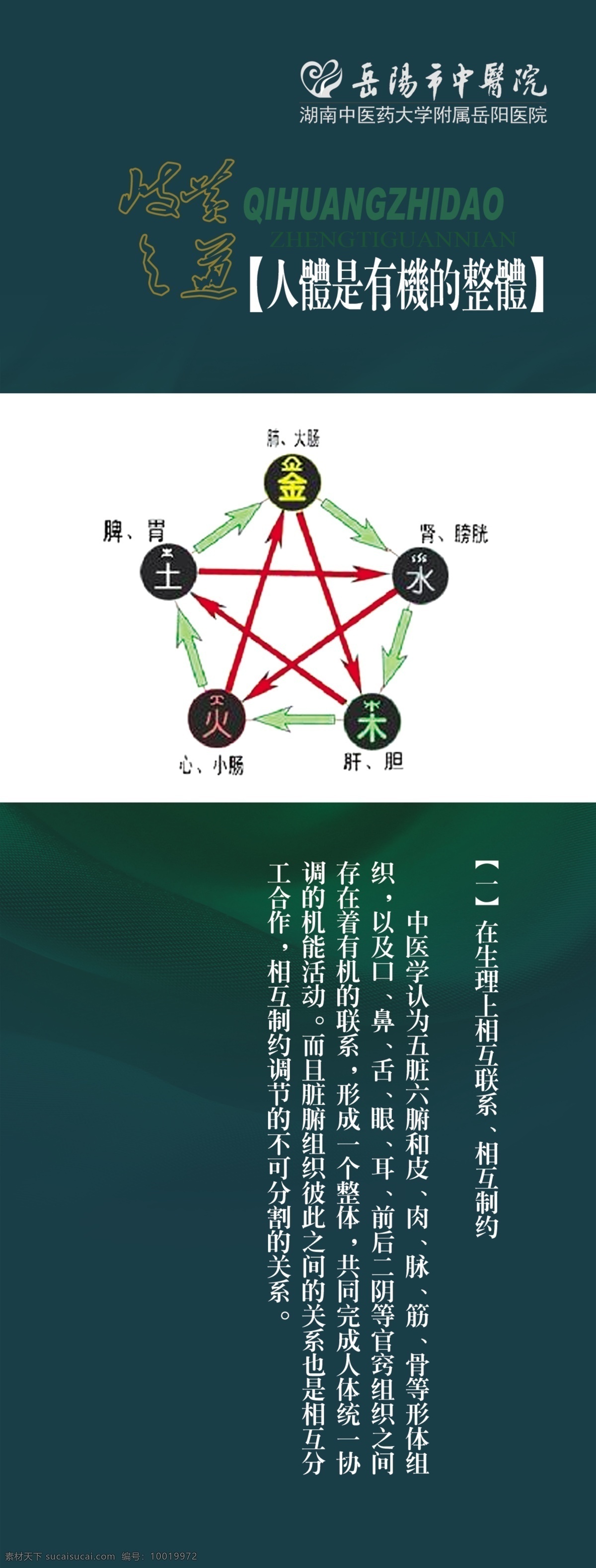 分层 版面 版式 策划 广告设计模板 画册 画册设计 中医文化 知识 四时进补 有机 整体 四时养生 中医药文化 岳阳市 中医院 医院 医疗 宣传资料 诊治范围 中天文化 宣传牌 源文件 中医养生 中医格言 宣传海报 宣传单 彩页 dm