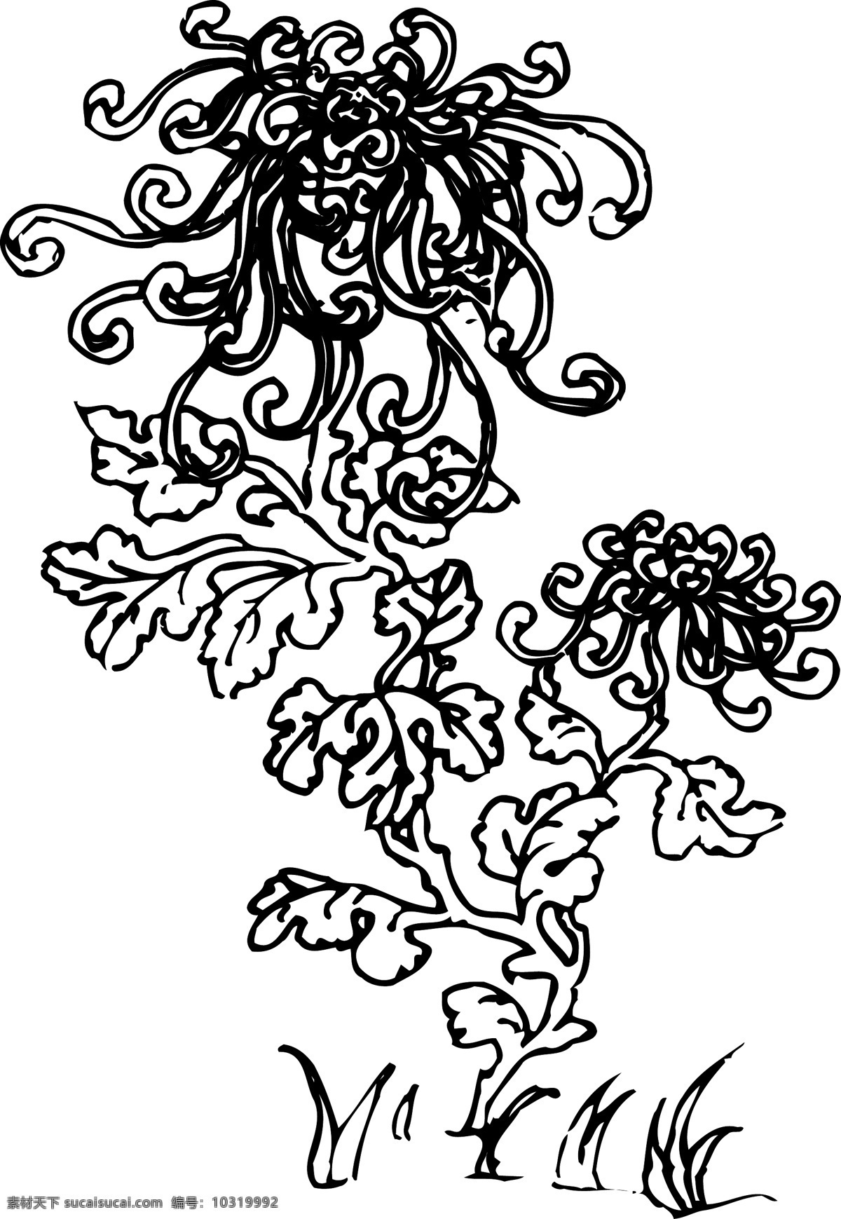 矢量菊花 矢量 菊花 生物世界 花草 梅兰 竹 菊 荷 松 矢量图库