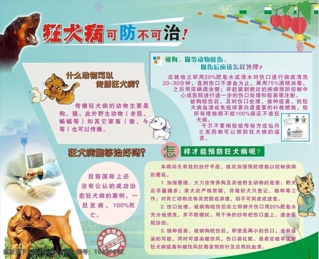 预防 预防狗咬 狂犬病 健康 医疗保健 生活百科 矢量