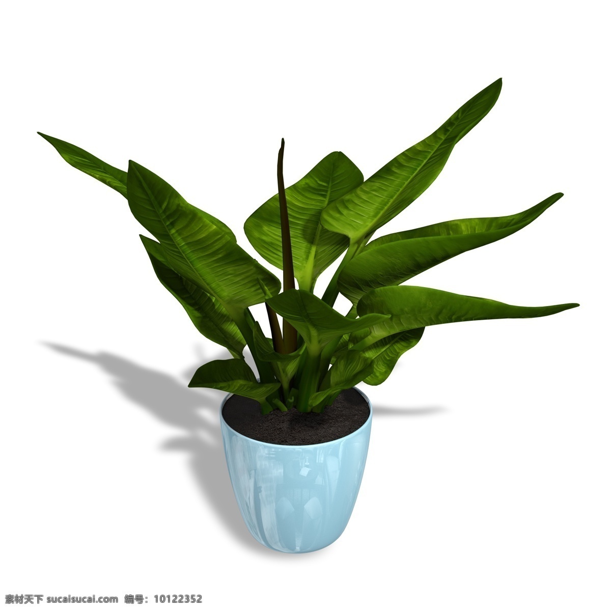 家居 绿色植物 盆景 绿色 植被 仿真树木 树 净化空气 植树 植物 树木 种植 栽培 树叶 叶茂