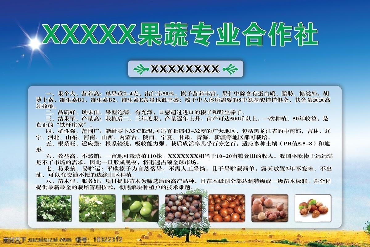 农业 合作社 产品 榛子 农村 农业合作社 原创设计 原创海报
