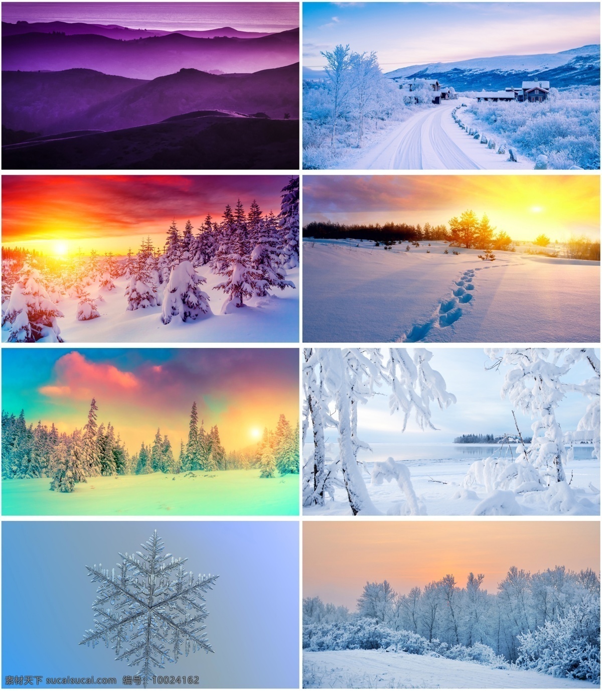美丽的雪景 冬天 风景 美丽 雪景 蓝色