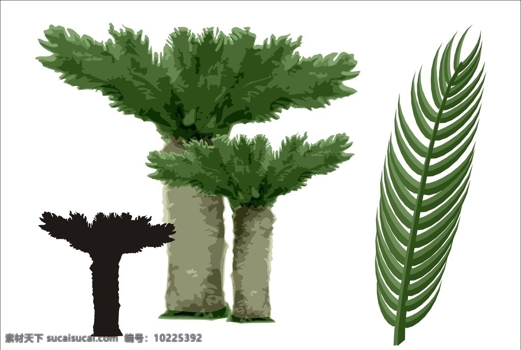 树林 绿色 绿色植物 绿色素材 大树 树素材 树枝 树木 树 园林 绿树 树木图 植物 园林景观素材 树矢量图 树矢量 叶子 绿叶 苏铁树 铁树 避火蕉 树20 生物世界 树木树叶