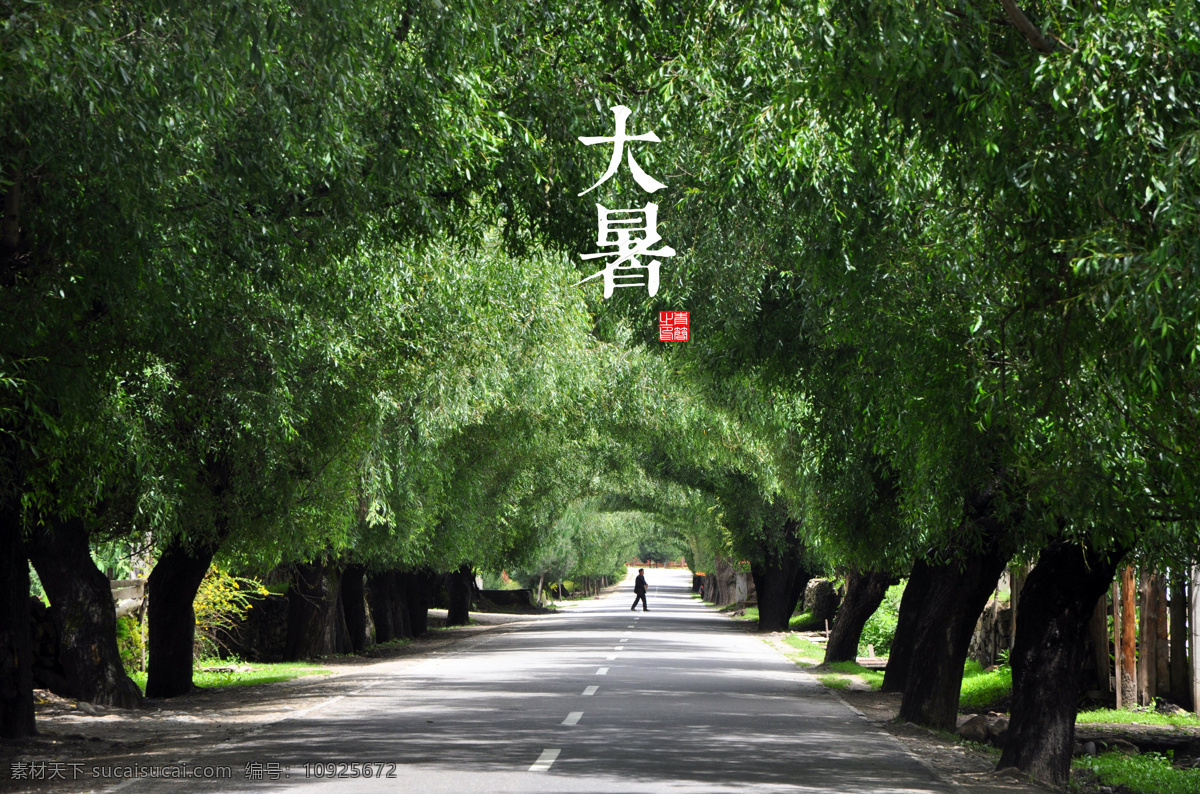 大暑 24节气 二十四节气 高清图 风景 自然风景 自然景观