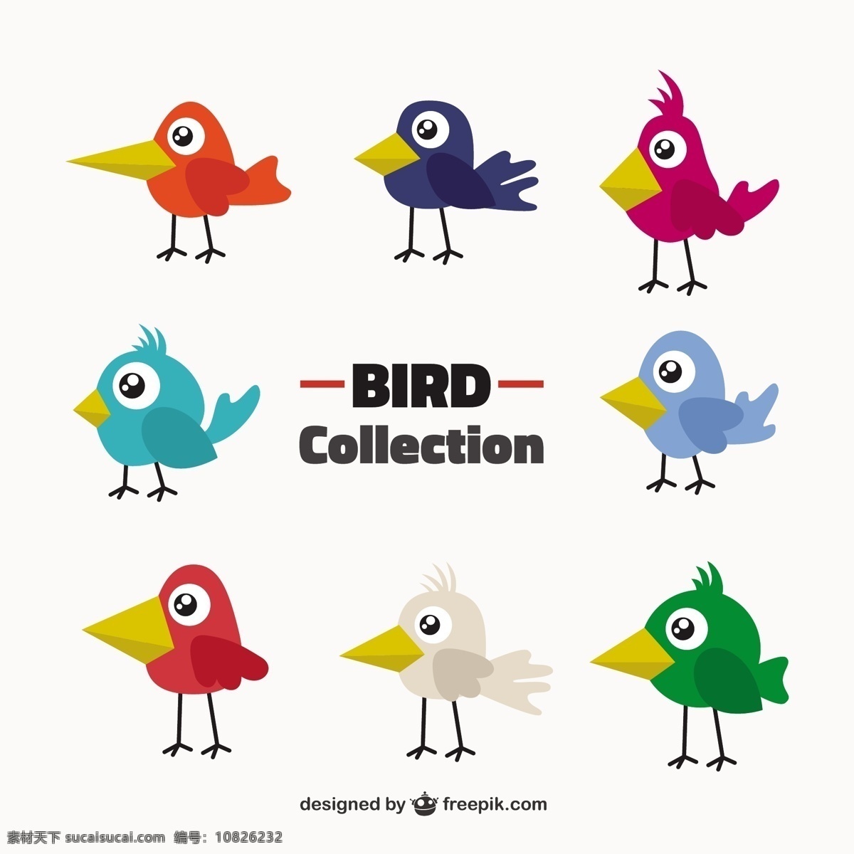 原始 鸟类 收集 颜色 爱 手 鸟 自然 动物 卡通 手工绘制 可爱 翅膀 羽毛 丛林 有趣 动物园 爱鸟 可爱动物 卡通动物 白色