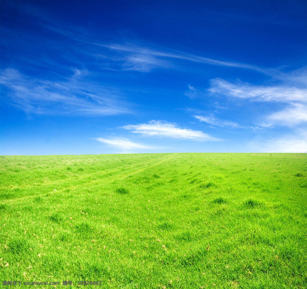 蓝天 白云 绿 草地 绿草地 天空 蓝色的天空 自然景观 自然风景