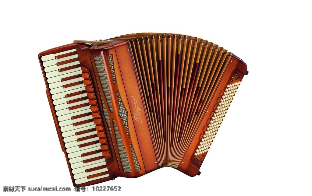 鹦鹉牌 棕色 手风琴图片 乐器