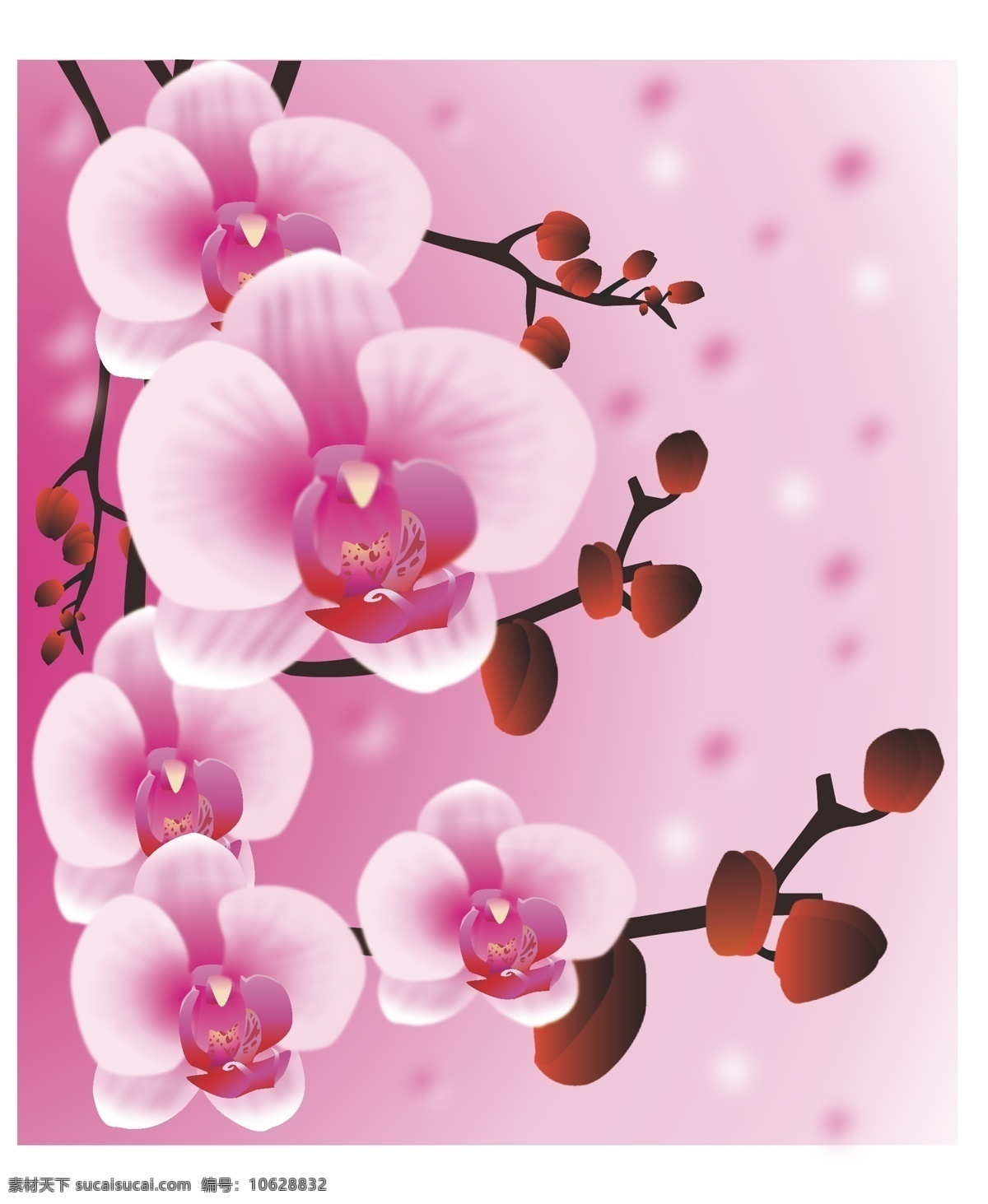 蝴蝶兰 花朵 矢量 背景 粉色 矢量素材 艺术 矢量图 其他矢量图
