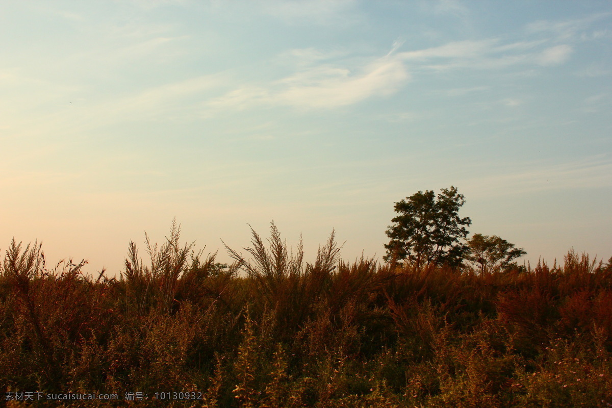 秋天的原野 秋天 原野 黄昏 落日 夕阳 油画素材 风景 自然风景 自然景观