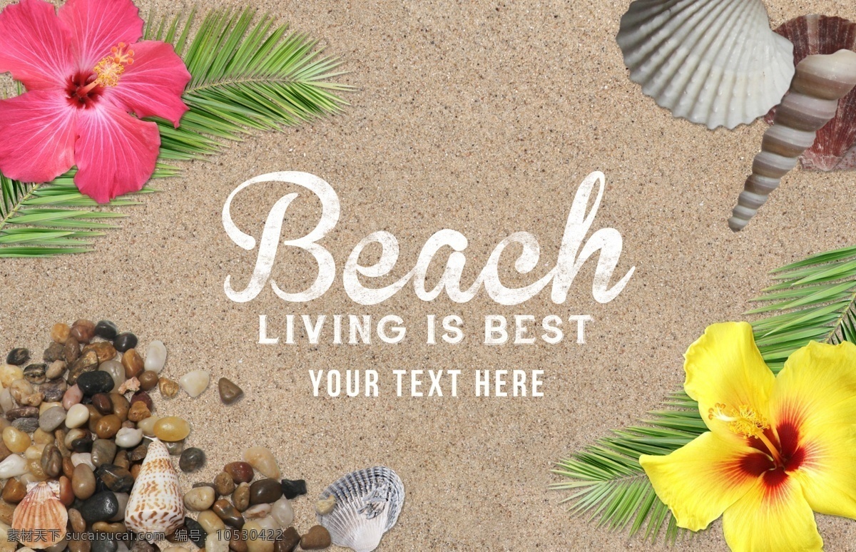 手绘 夏日 海滩 背景 图 源文件 花朵 贝壳 小石头 黄色 海螺 叶子 沙粒 装饰图案