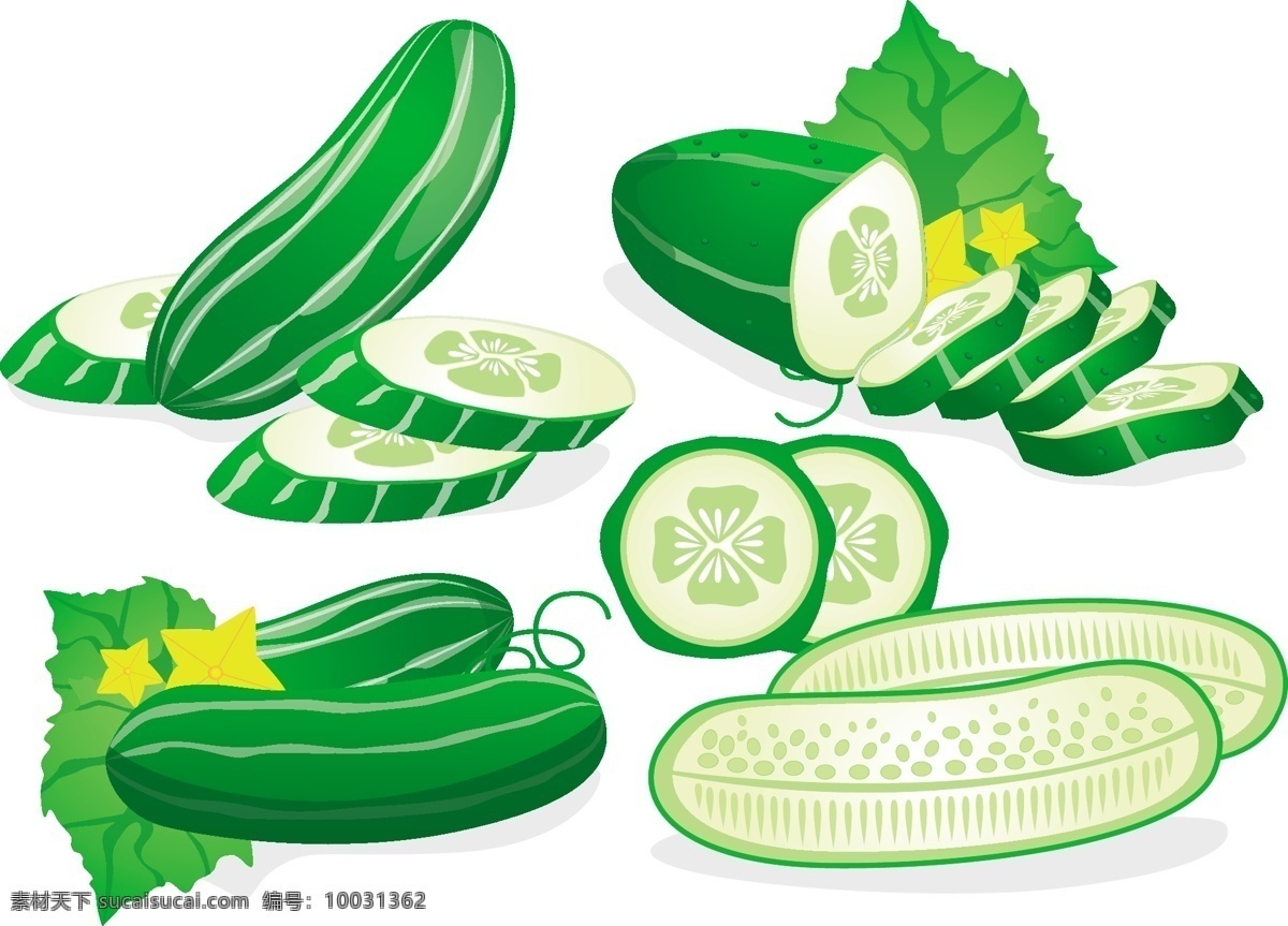 手绘 黄瓜 矢量 水果 手绘蔬菜 矢量素材 扁平化蔬菜 食物 美食 手绘食物 手绘植物 蔬菜图标 手绘黄瓜