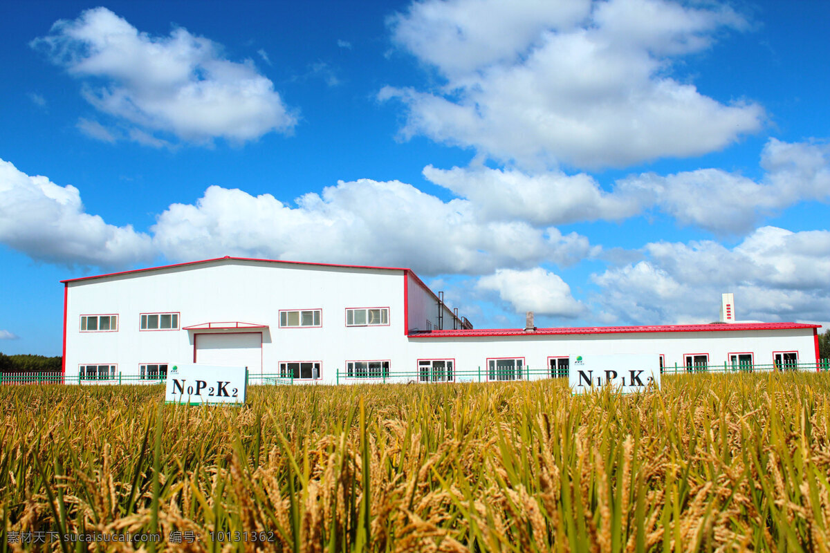科学 施肥 肥料 蓝天白云 农业科技 水稻 现代科技 科学施肥 肥料利用率 农业生产 矢量图