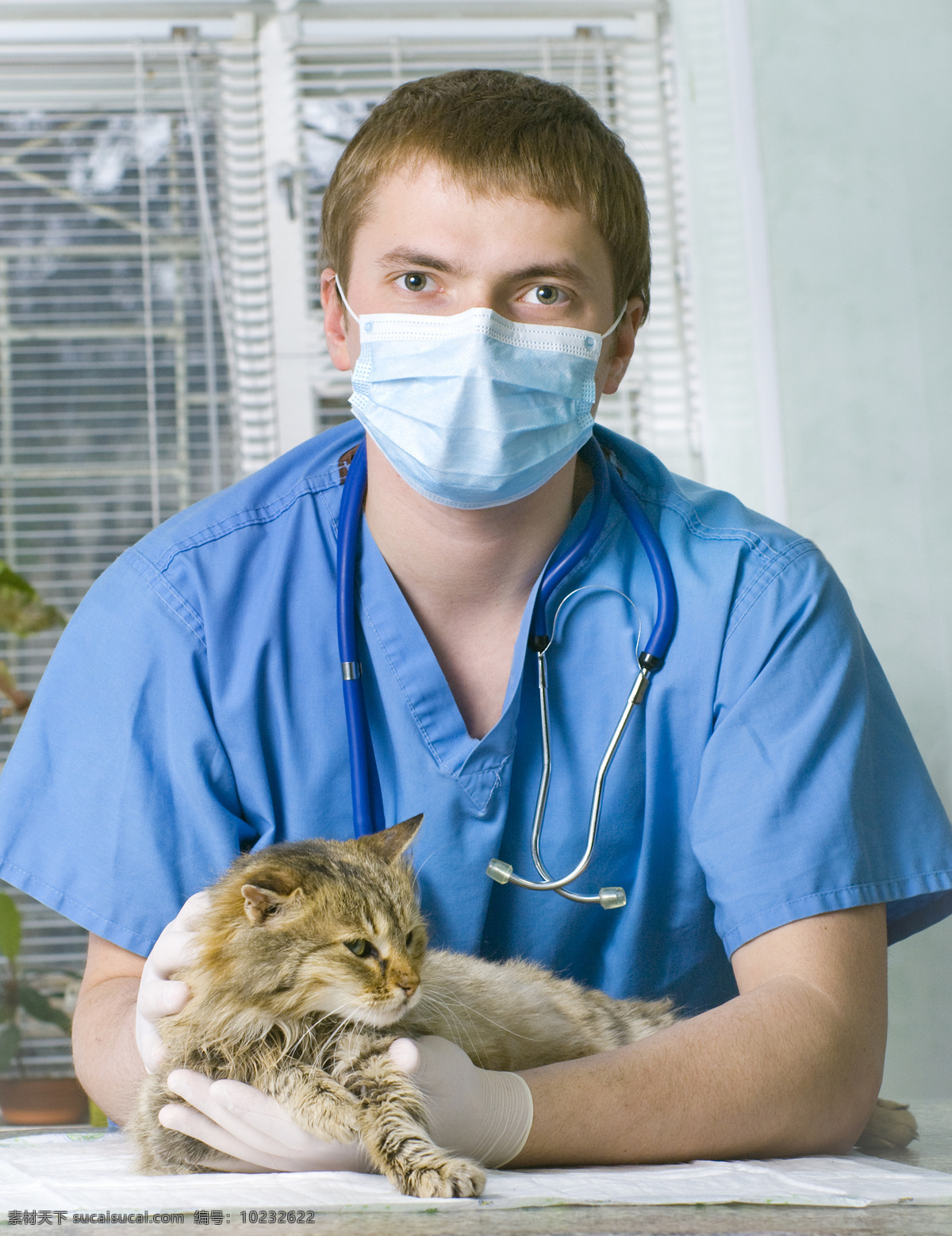 抱 猫咪 宠物 独生 小猫 宠物医生 兽医 职业男性 商务人士 人物图片