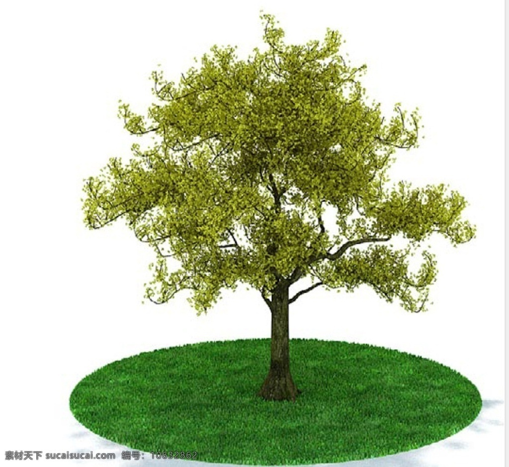 植物模型 植物 绿化 绿化模型 树木 树木模型 树模型 景观 景观模型 摆设 摆设模型 装饰品 装饰品模型 工艺品 工艺品模型 艺术品 艺术品模型 软装 软装模型 效果图 3d 文件 室内模型 3d设计模型 源文件 max
