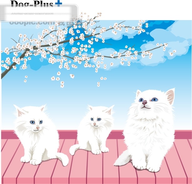 猫和梅花 猫 梅花 瓦 云 天空 眼睛 耳朵 白色