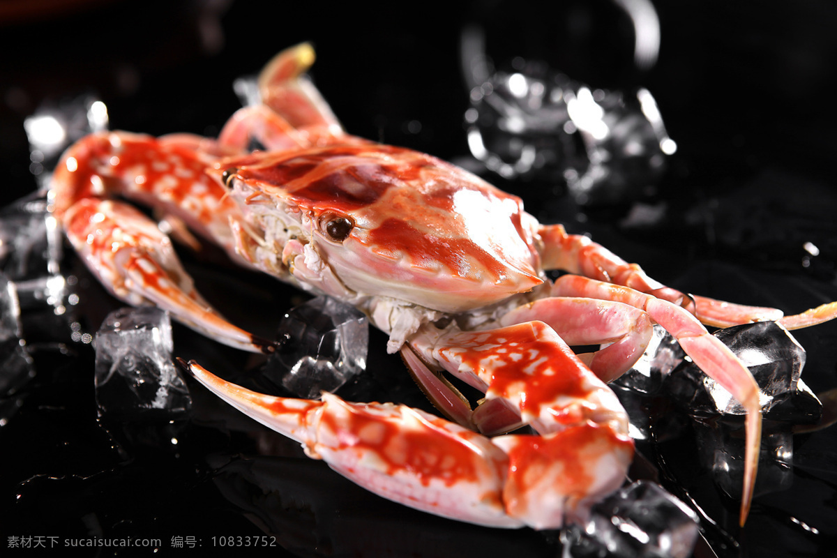 红蟹 美食 海鲜 冰冻蟹 冰冻红蟹 黑色背景 冰块 冰块与红蟹 传统美食 餐饮美食