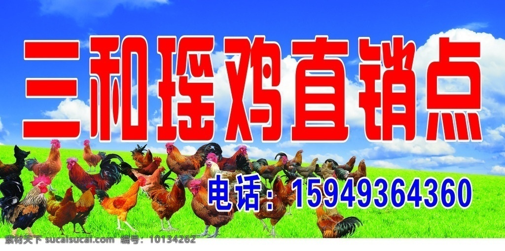 柴山界 土鸡 专买店 鸡蛋 土鸡招牌 招牌