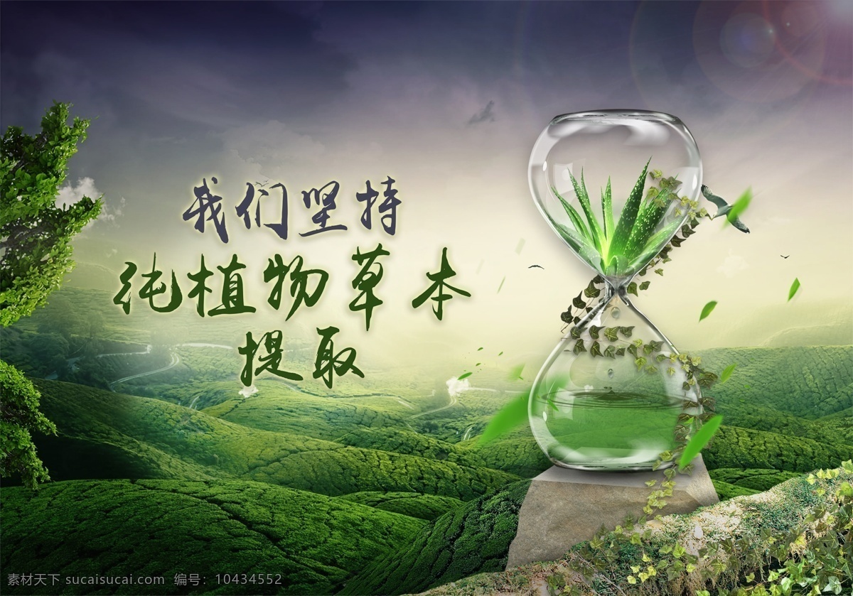 植物草本 草本 草本植物 草本精华 草本味 草本包装 草本标签 草本美容 草本中药 草本草药 草本牙膏 草本底纹 草本图案 草本植物底纹 草本芦荟 草本护肤品 牡丹 风信子 郁金香 紫罗兰 水仙 菊花 木本植物 植物图案 二月兰 君子兰 草本花卉 草本画册 草本素材 草本广告 草本植物图 草本中国风 中草药