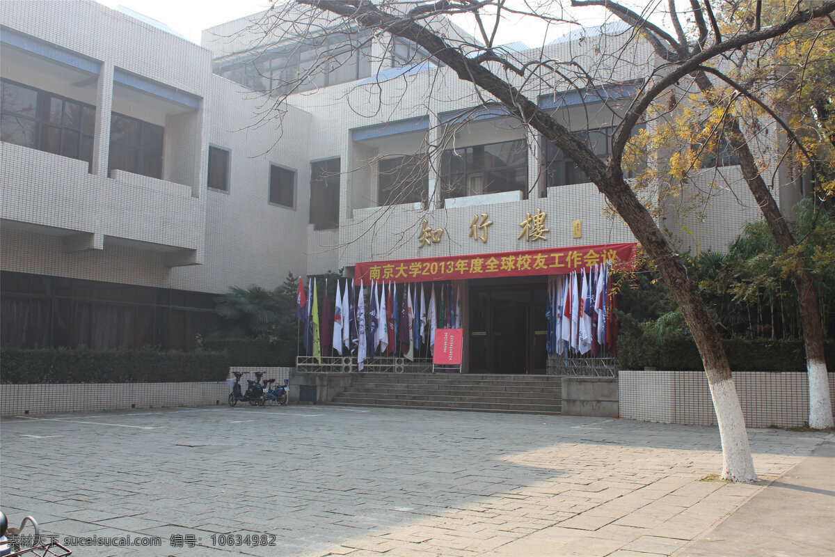 南京大学 校园 建筑 秋天 树木 大学 国内旅游 旅游摄影
