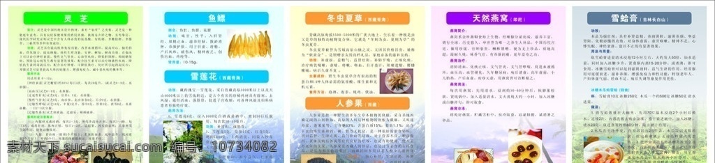 灵芝 燕窝 鱼鳔 雪莲 人参 补品简介 补品功效 冬虫夏草 用法 展板模板 矢量