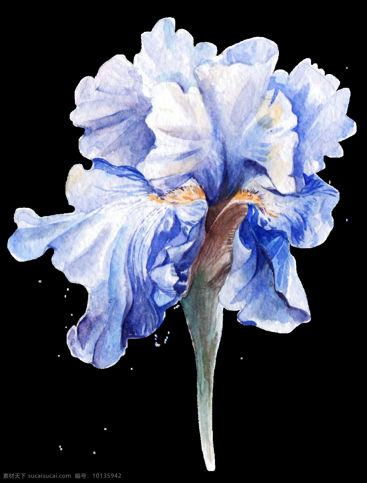 淡蓝 花蕊 卡通 透明 花束 蓝色 透明素材 免扣素材 装饰图案